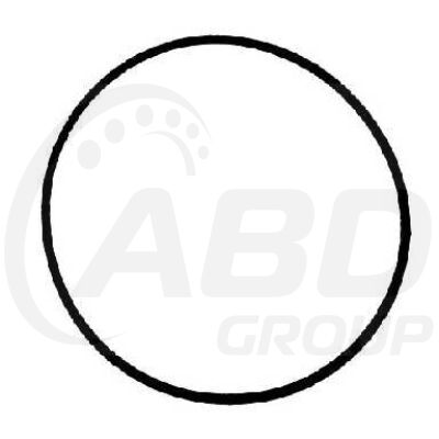 Water Pump Gasket Water Pump Gasket