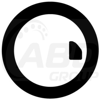 Exhaust Flange Gasket