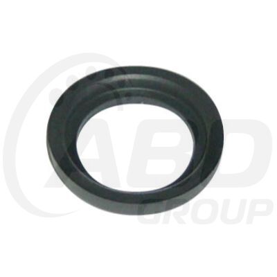 Spark Plug Seals (4)