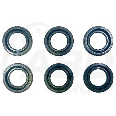 Spark Plug Seal (6)