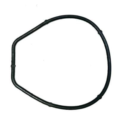 Water Pump Gasket Water Pump Gasket