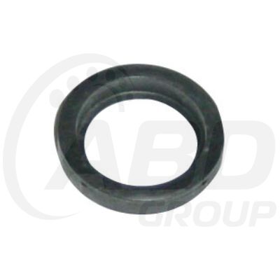 Spark Plug Seal (4)