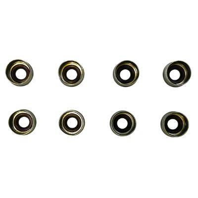 Valve Stem Seal Set