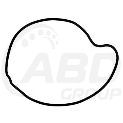 Water Pump Gasket Water Pump Gasket
